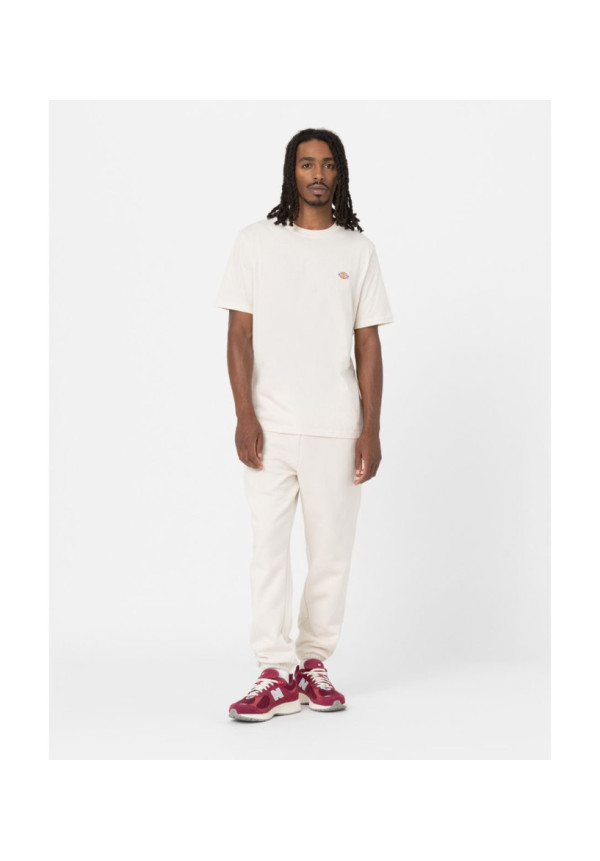 Dickies CAMISETA MAPLETON BLANCO ROTO
