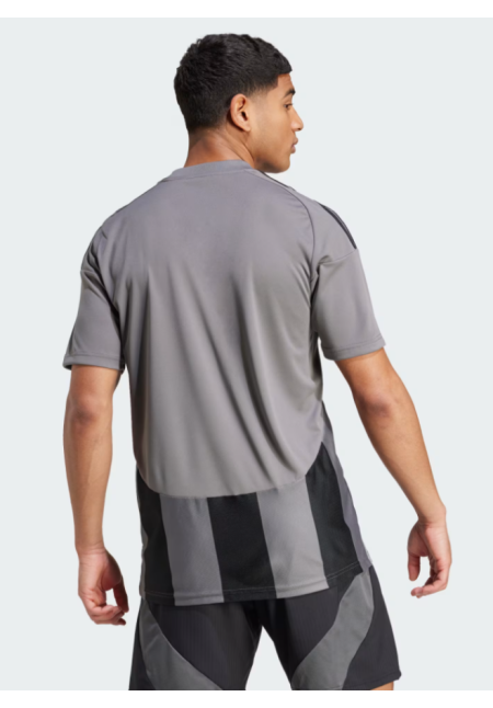 Camiseta Striped 24