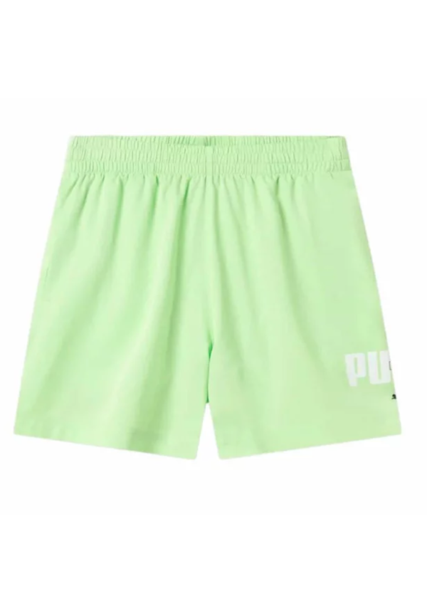Pantalón Puma Essentials Logo Lab Wo