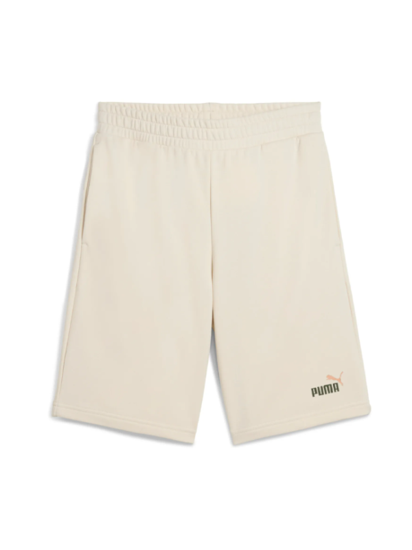 ESS 2 COLOR No. 1 Logo Shorts 10 TR