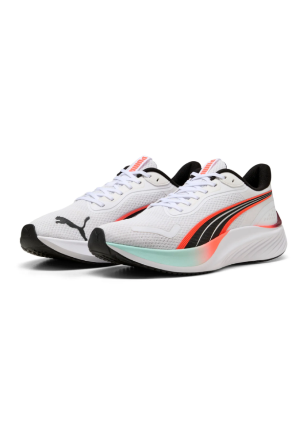 Pounce Lite