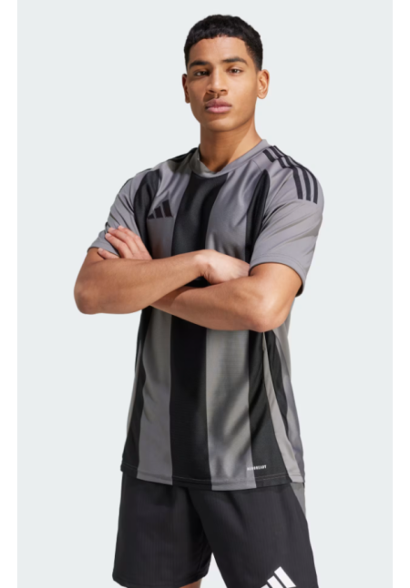 Camiseta Striped 24
