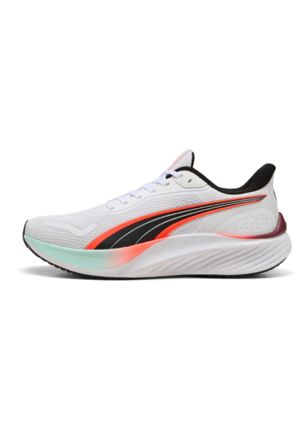 Pounce Lite