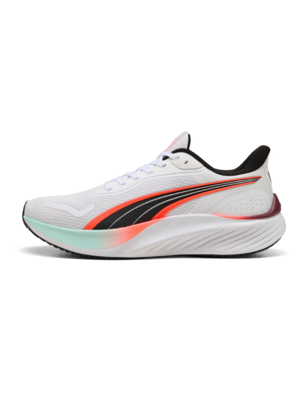 Pounce Lite