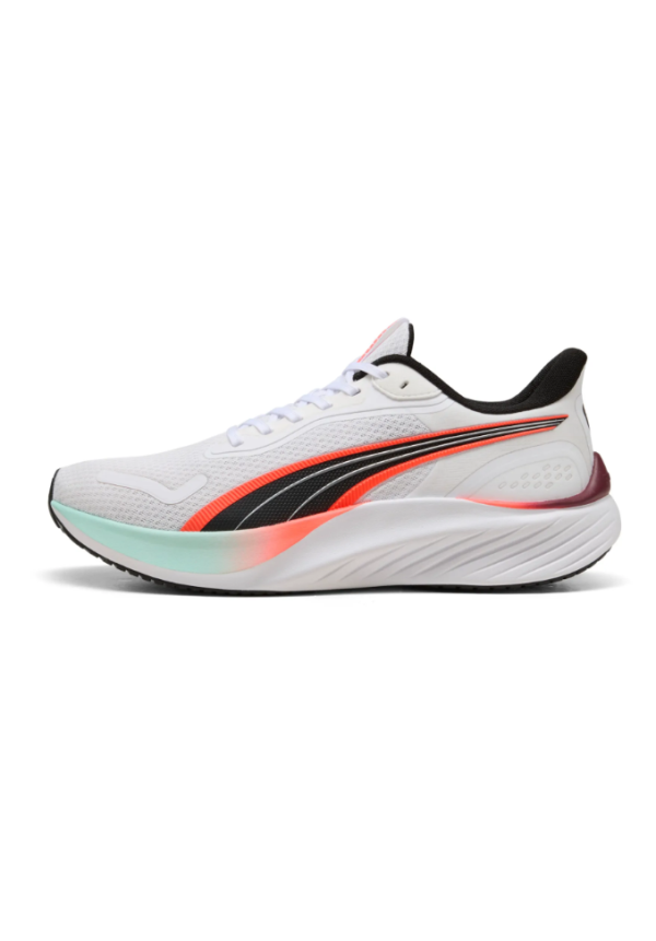 Pounce Lite