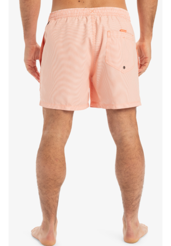 Everyday Deluxe 15" - Short de Natación para Hombre