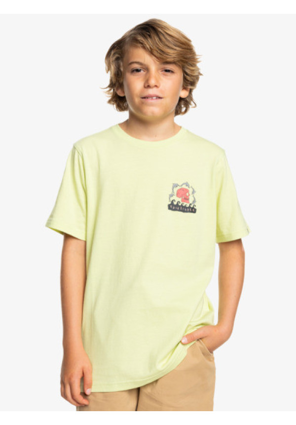 Porpoises - Camiseta de manga corta para Chicos 10 - 16 años