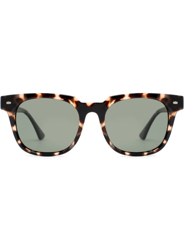 CLARK Cream Brown