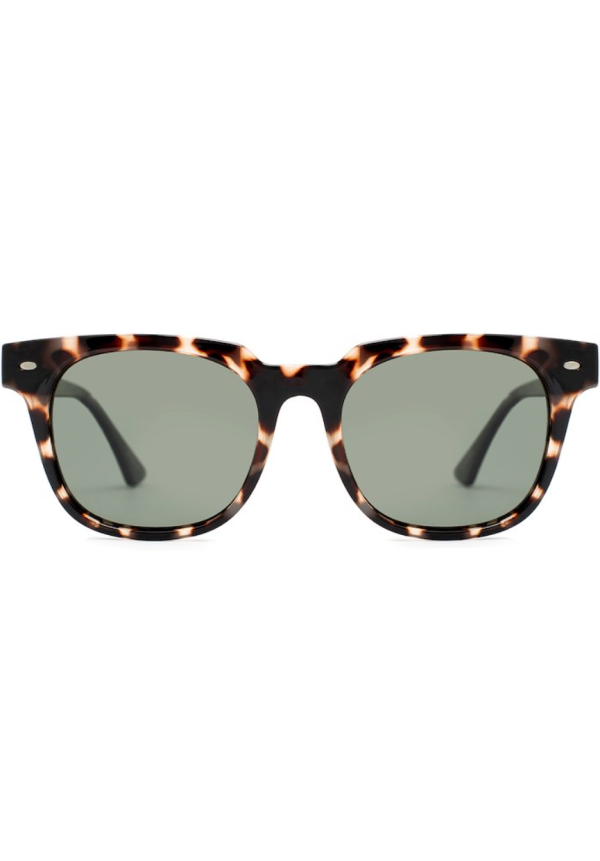 CLARK Cream Brown