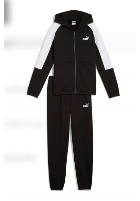 ESS BLOCK Hooded Full-Zip Sweat Suit FL B