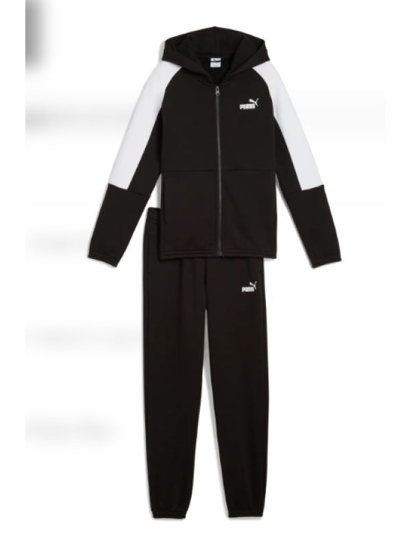 ESS BLOCK Hooded Full-Zip Sweat Suit FL B