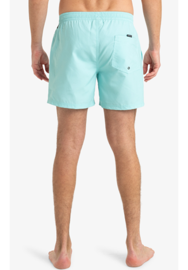 Everyday Solid 15" - Short de Natación para Hombre Aqua Sky