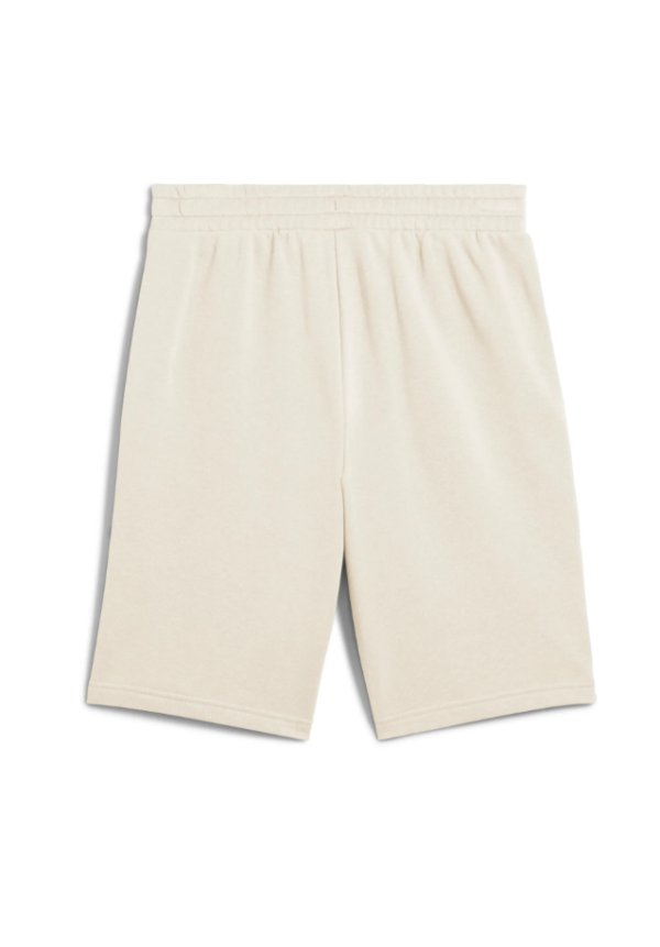 ESS 2 COLOR No. 1 Logo Shorts 10 TR