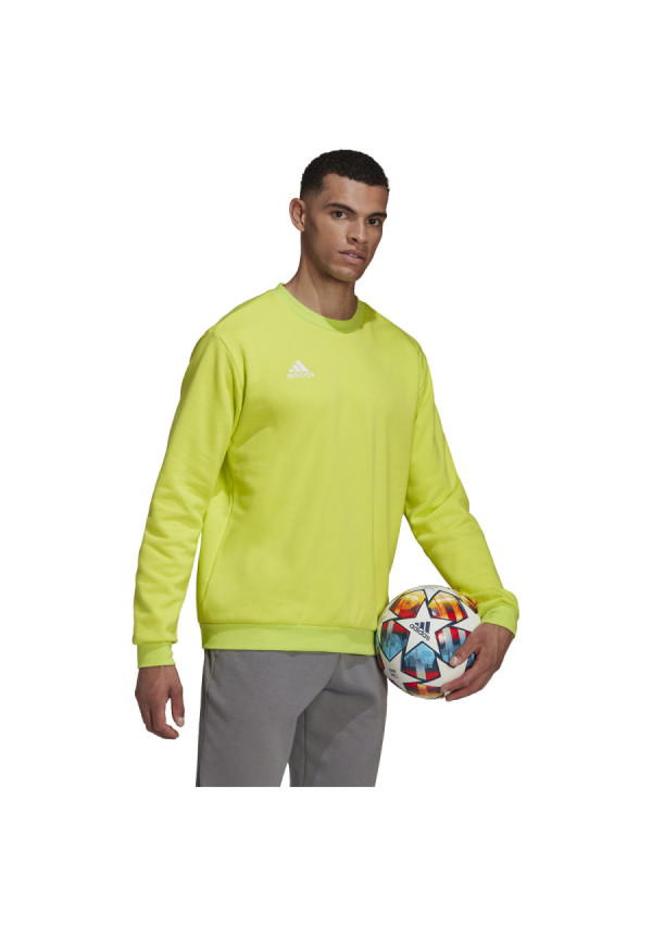 Sudadera adidas Entrada 22 Sweat Top