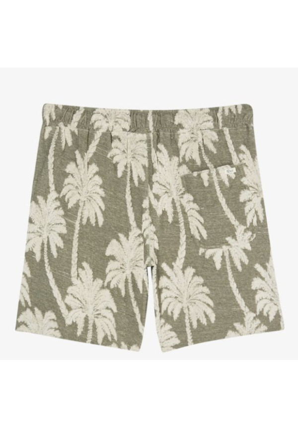 Palms Down Exotica 17