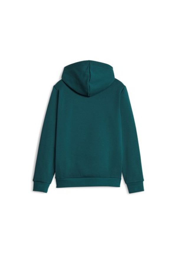 ESS+ 2 Col Big Logo Hoodie FL B Verde 