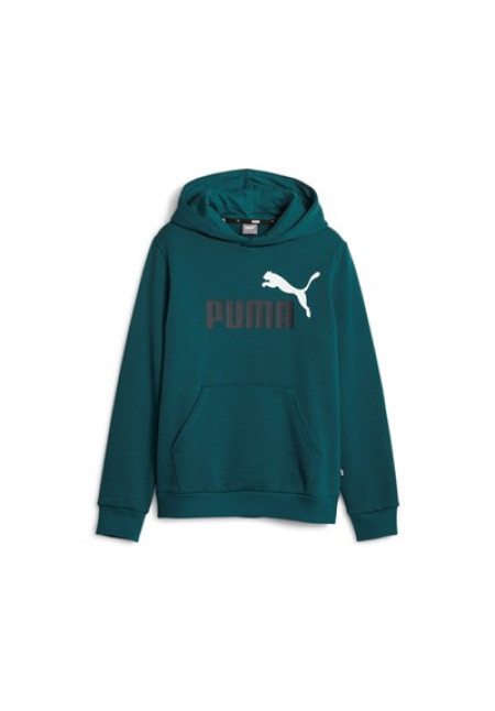 ESS+ 2 Col Big Logo Hoodie FL B Verde 