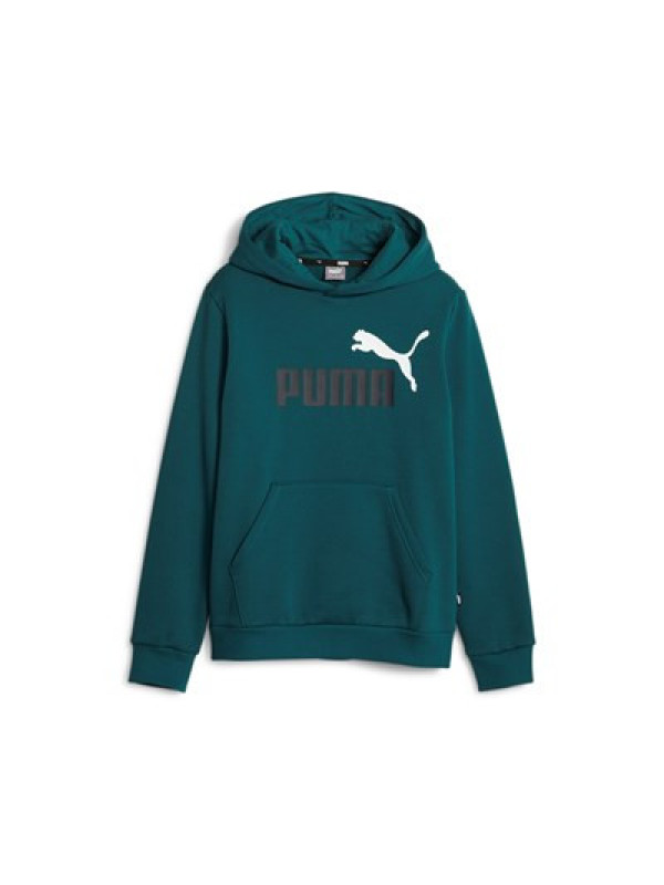 ESS+ 2 Col Big Logo Hoodie FL B Verde 