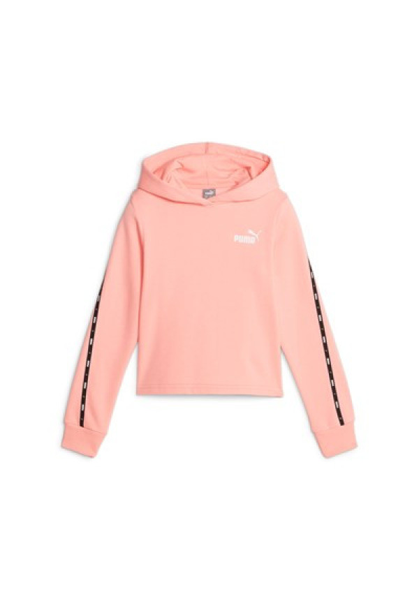 ESS TAPE Hoodie FL G